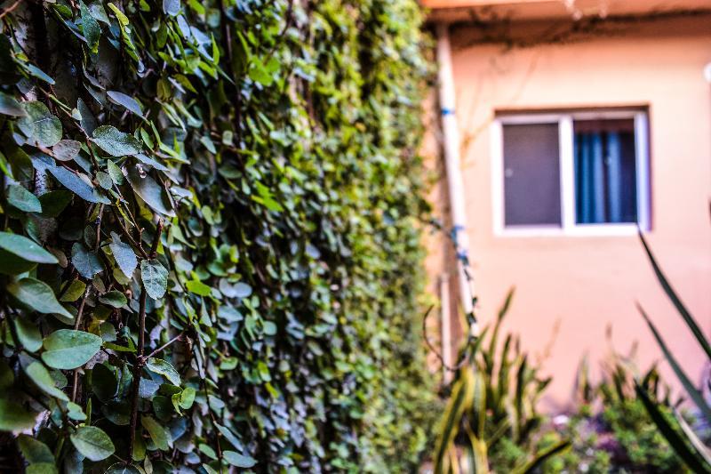 Econosuites Monterrey Ngoại thất bức ảnh